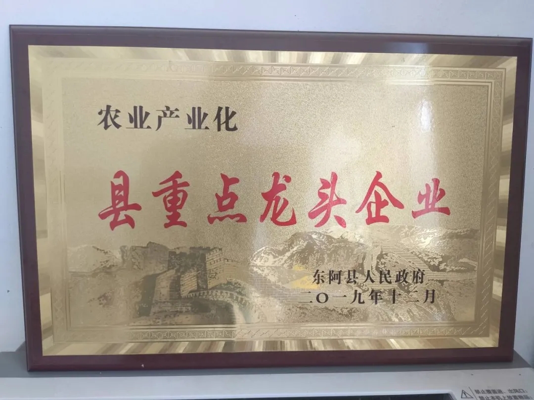 suncitygroup太阳集团网址