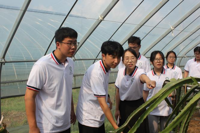 suncitygroup太阳集团网址