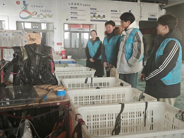 suncitygroup太阳集团网址